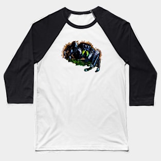 Bold Jumping Spider Baseball T-Shirt